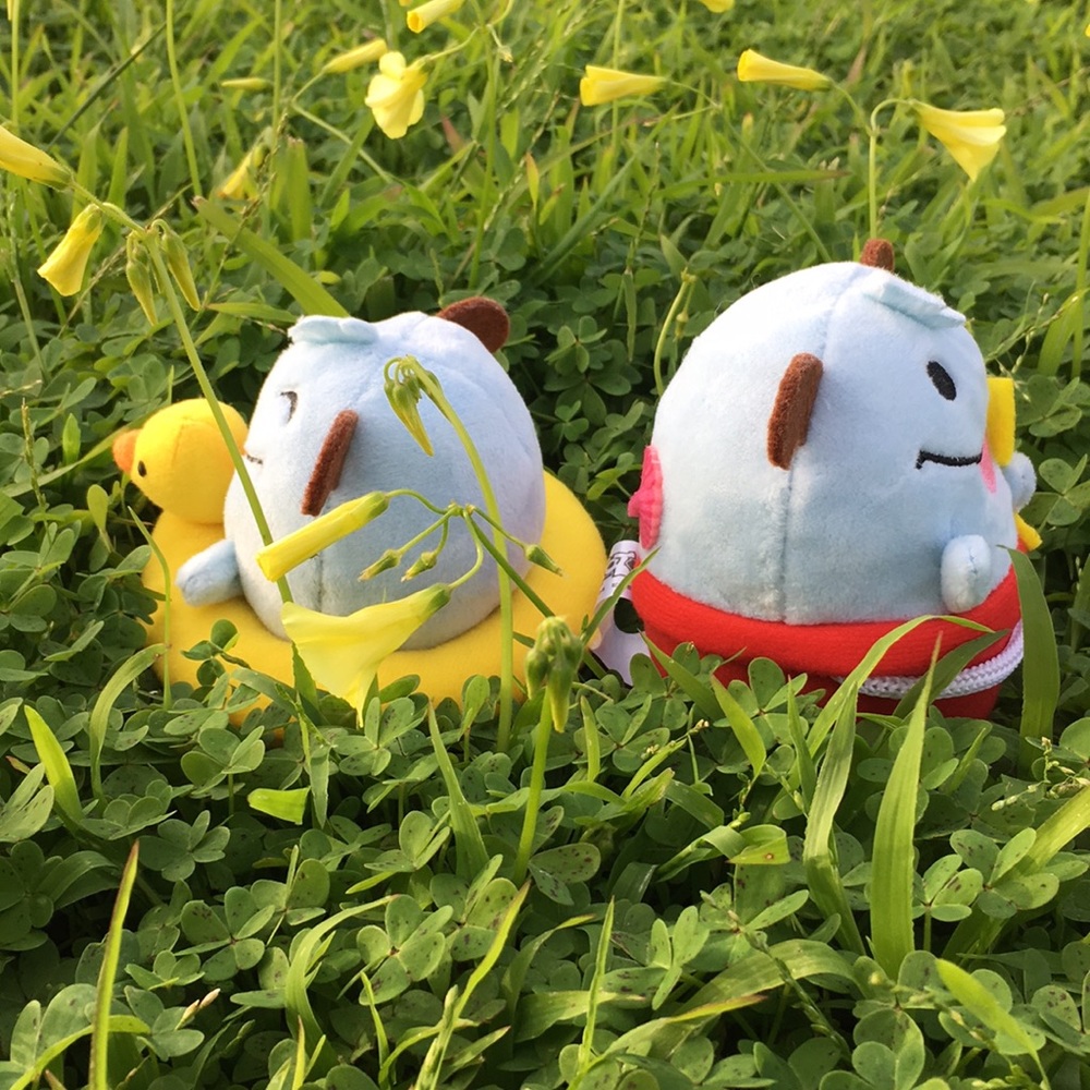 Plush Collection - Picture 6 of 6